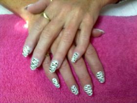 26082011019.jpg zebra.jpg